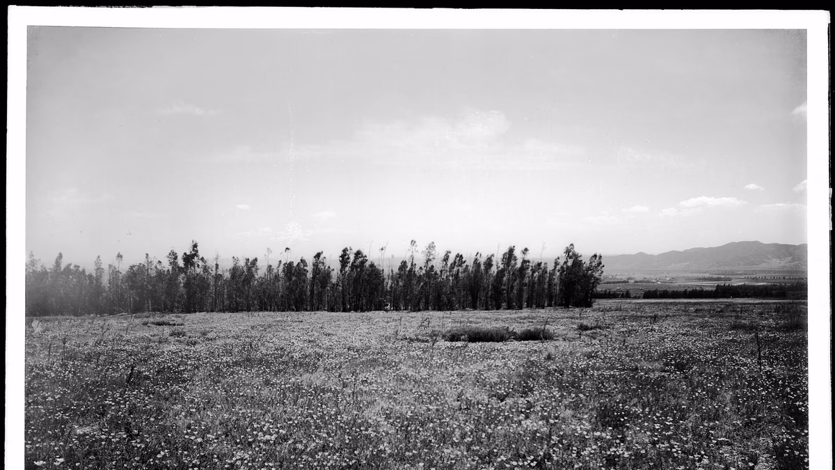 View of Altadena, California