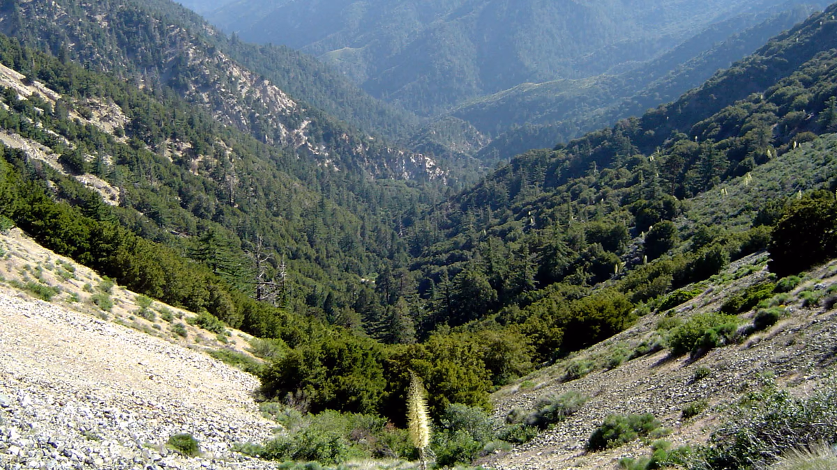 View of Angeles National Forest, California