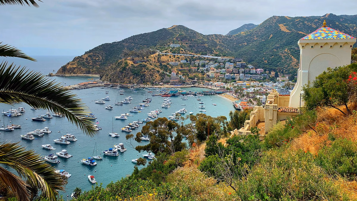 Cloudy day view of Avalon Harbor with boats from behind the Chimes Tower, established in 1925.