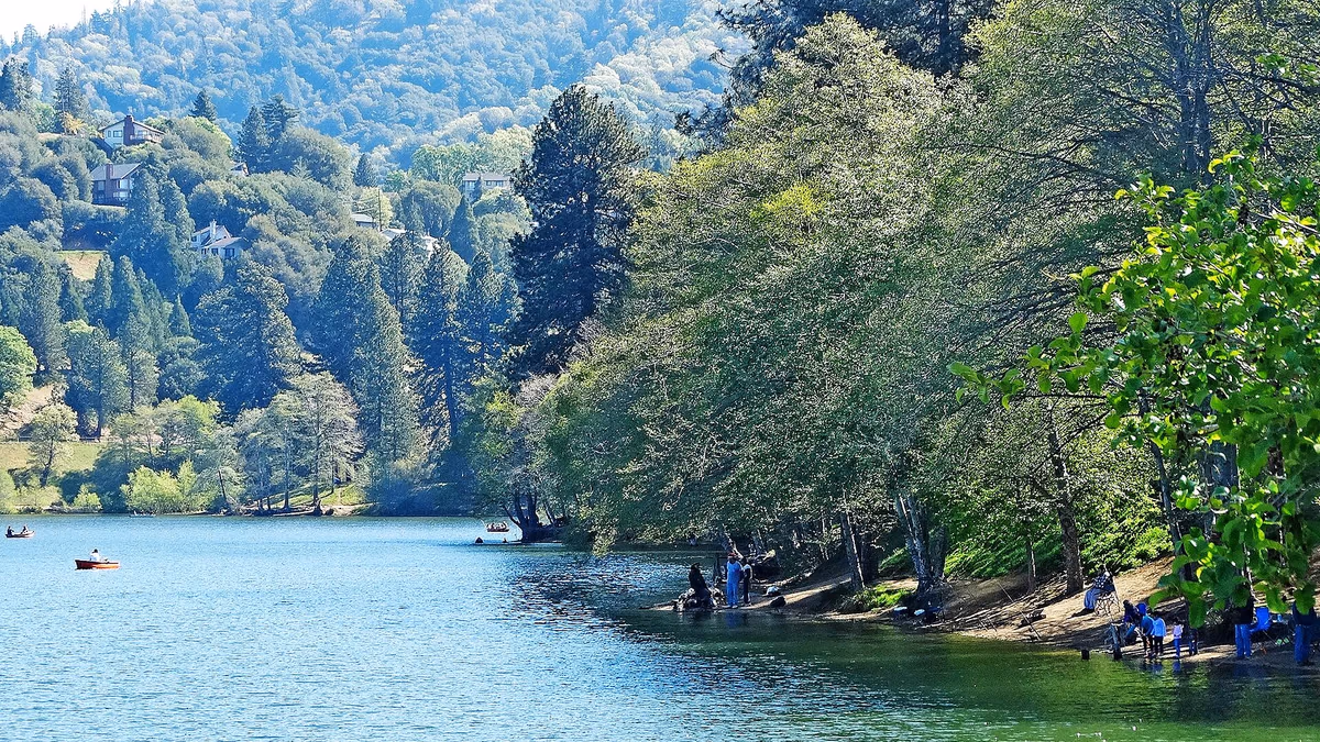 View of Cedarpines Park, California