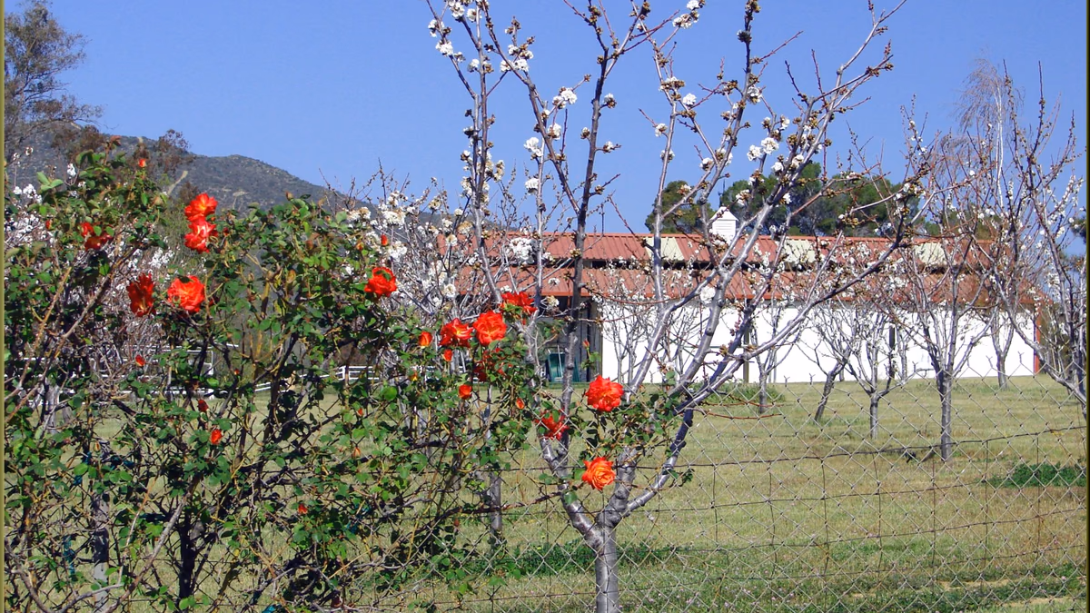 View of Cherry Valley, California