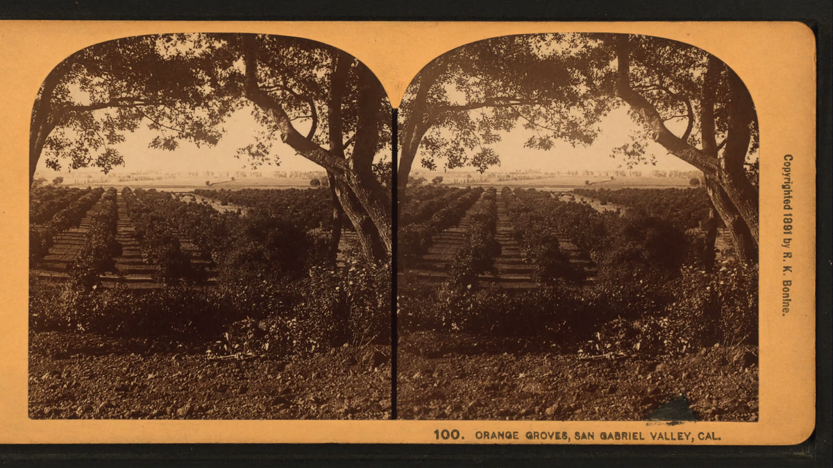 View of Citrus, California