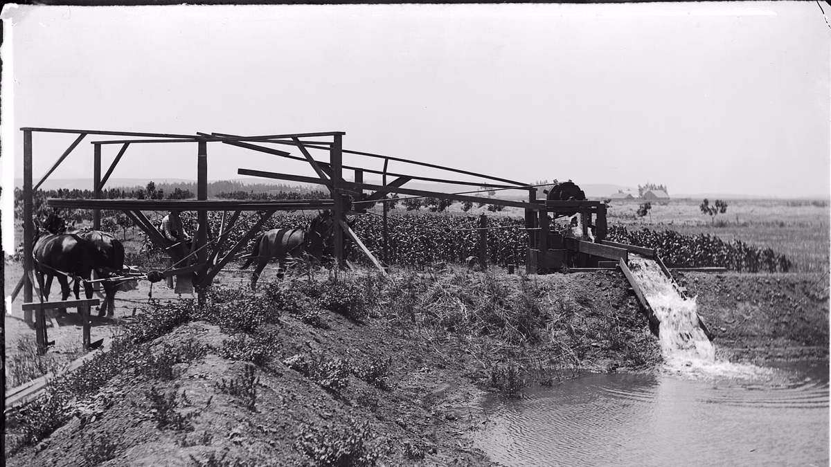 View of Compton, California