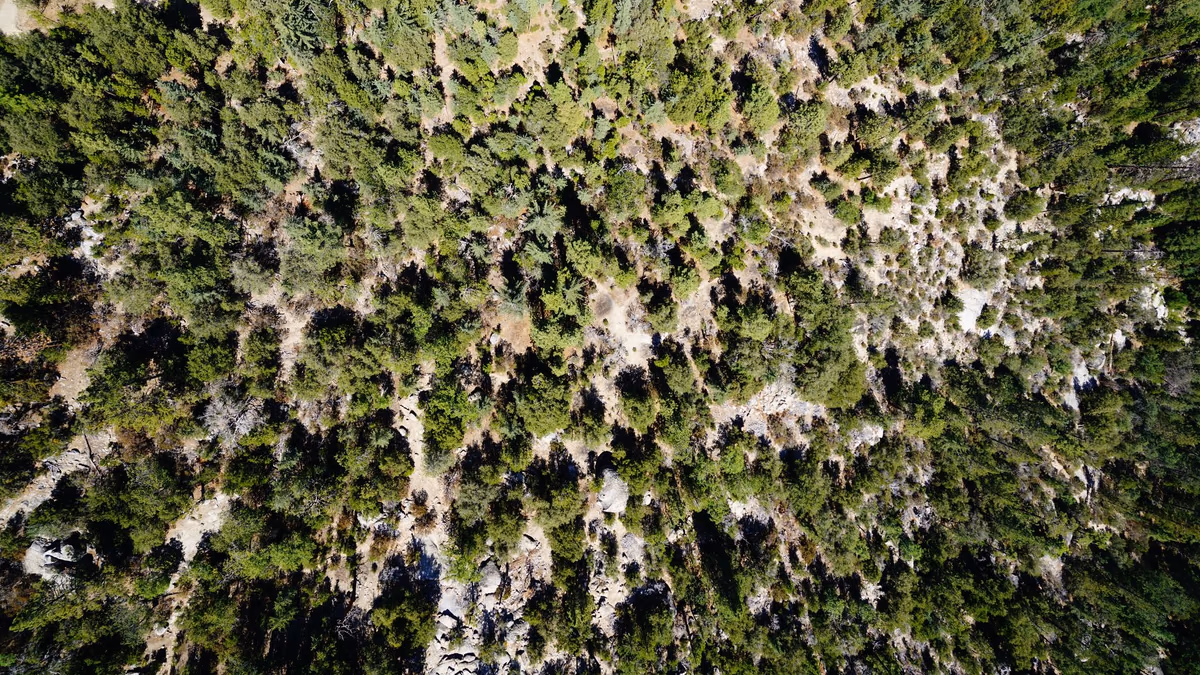Street-level view in Idyllwild-Pine Cove, California