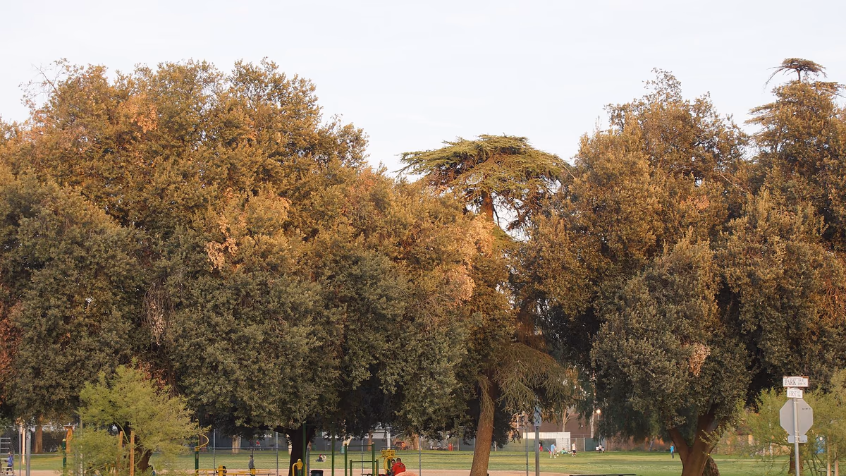 2014, On San Fernando Streets, City of San Fernando Recreation Park