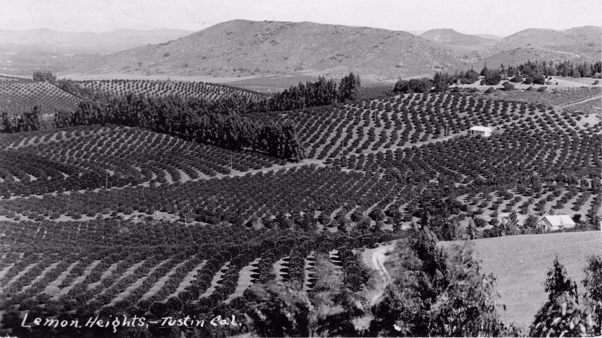 There are no known copyright restrictions on this image. All future uses of this photo should include the courtesy line, "Photo courtesy Orange County Archives."