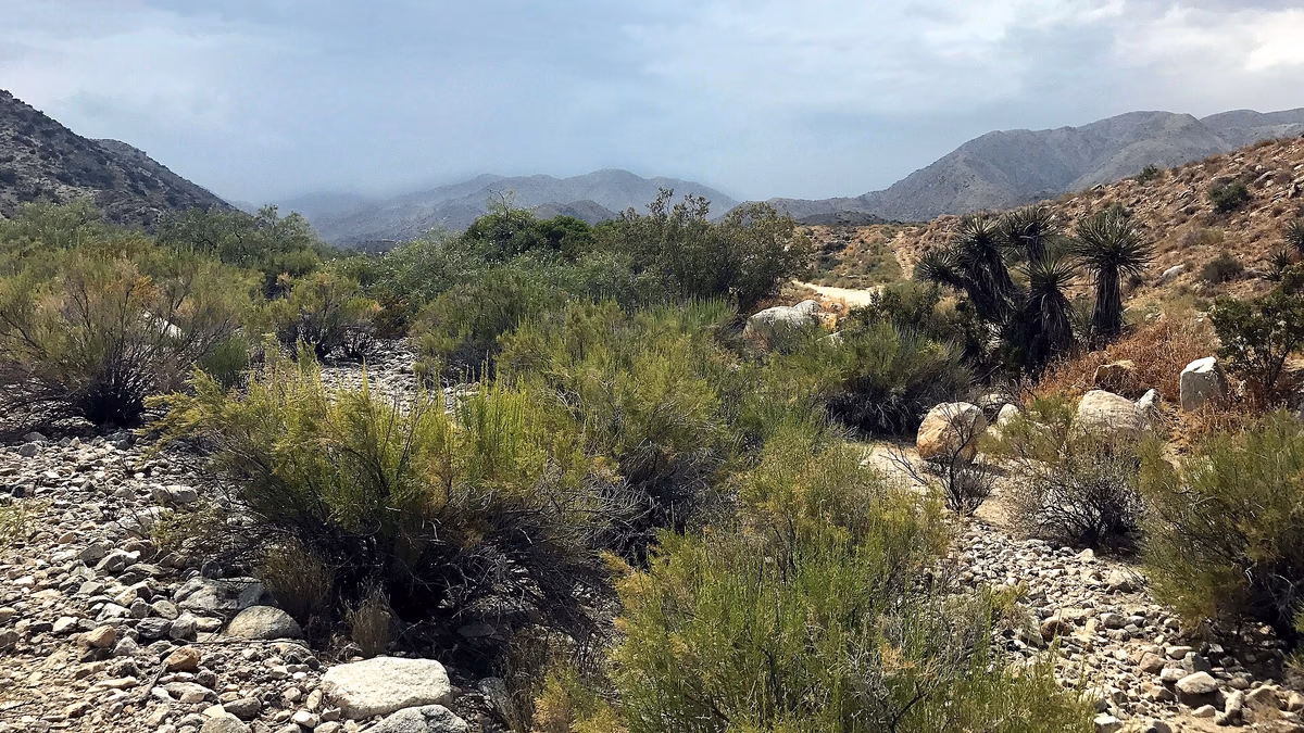 Morongo Canyon, in Morongo Valley, California