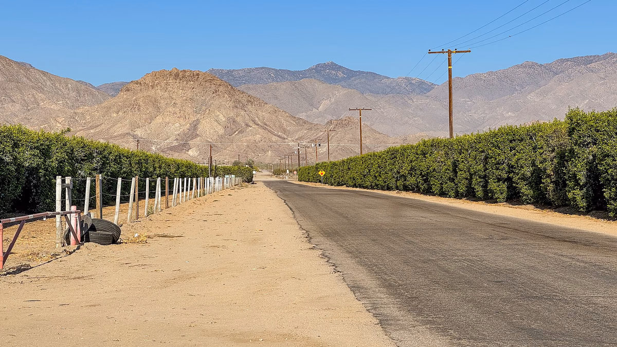 Orange Groves in Oasis, California and Toro Peak