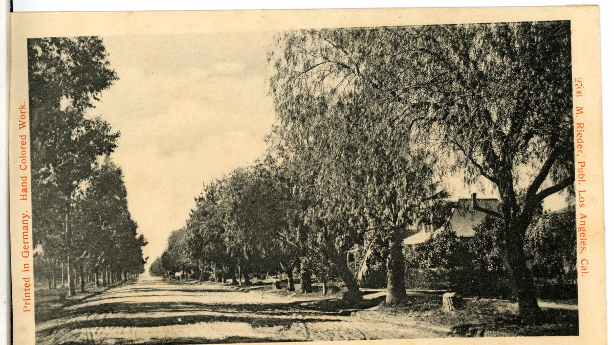 Rialto; A Beautiful Drive, Rialto, California