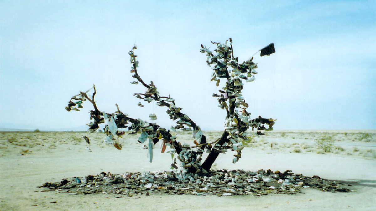 View of Rice, California