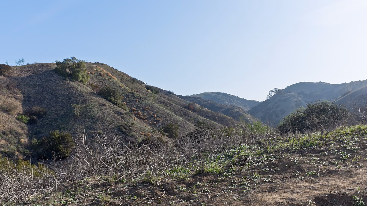 Hellman Wilderness Park — in the Puente Hills , Whittier, California.