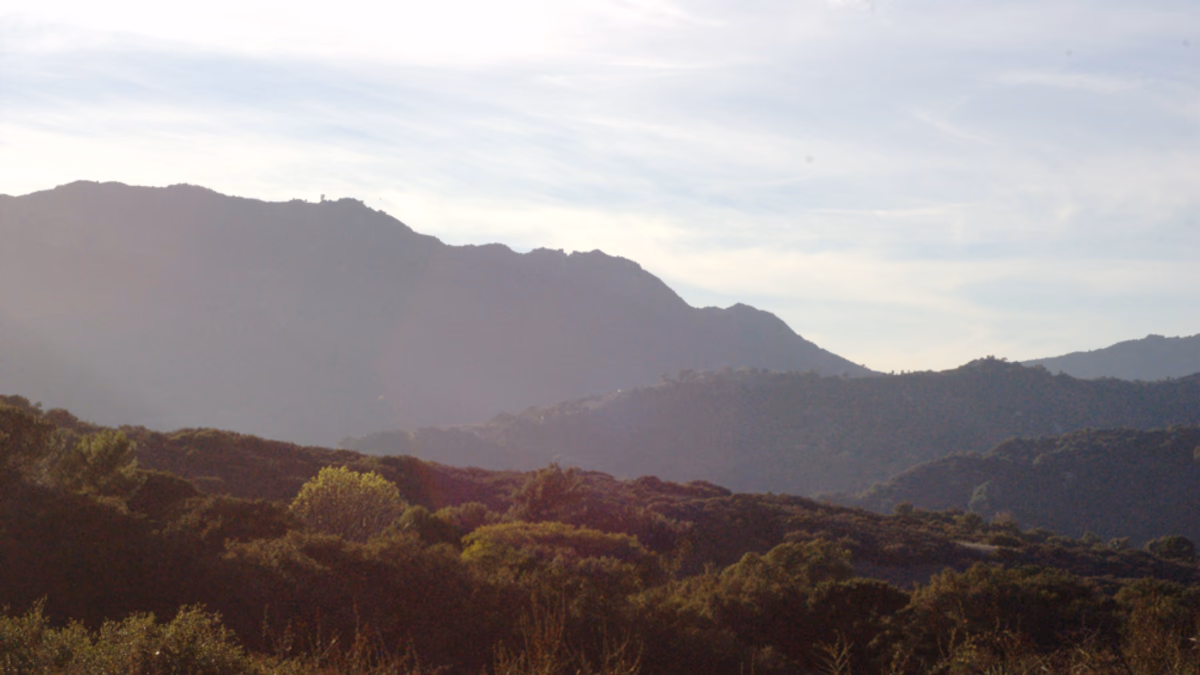 View of Topanga State Park and Topanga Canyon — from one of the hiking trails in the Santa Monica Mountains National Recreation Area .