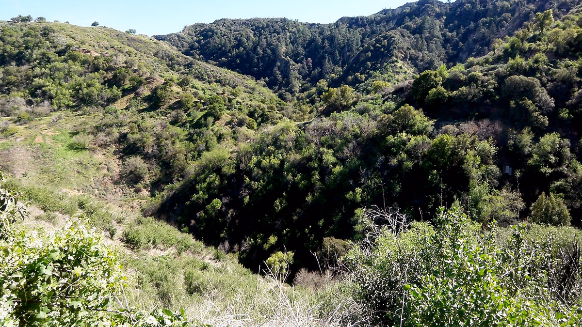 View of Twin Lakes/Oat Mountain, California