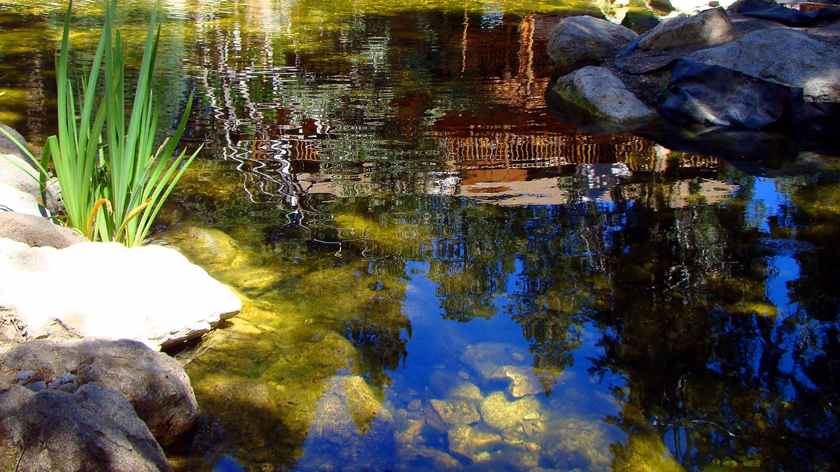 Sun & Shade in Twin Peaks, San Bernardino County