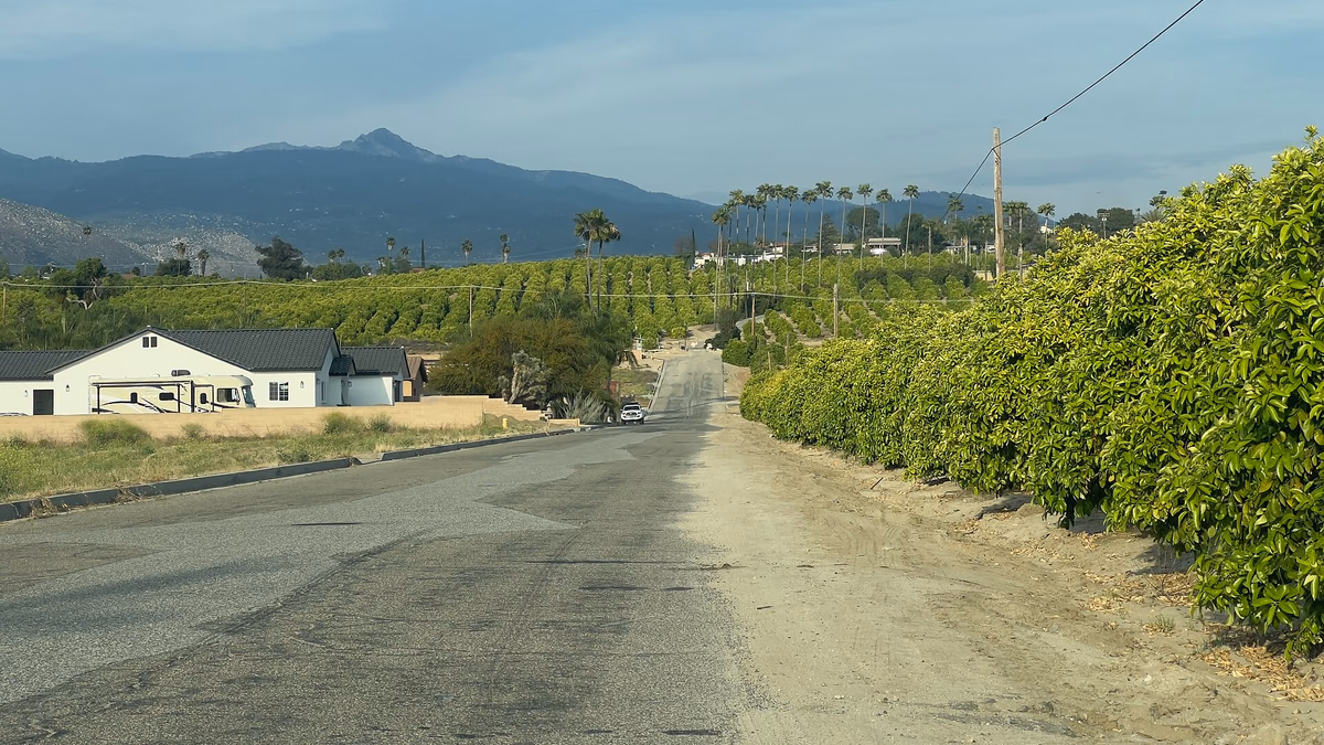 Orange Groves and San Jacinto Mountains in Valle Vista, California