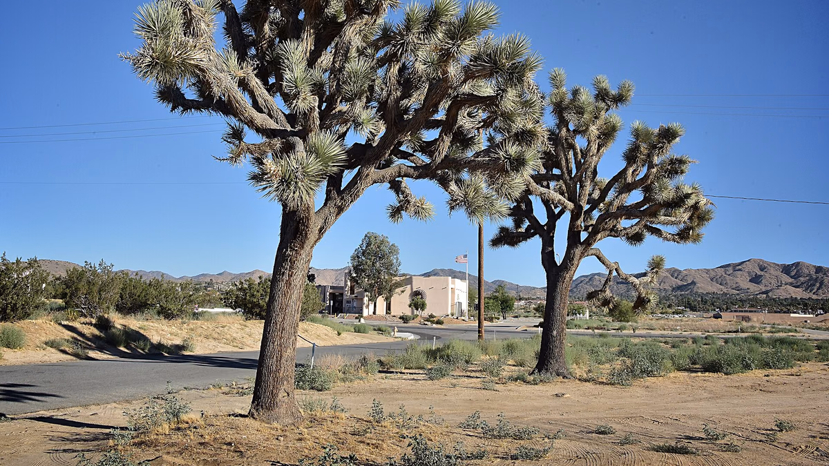 Yucca Valley looking south with the Visitor Center in Background in June 2017- Photo by Glenn Francis of www.PacificProDigital.com